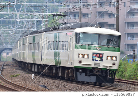 東海道線 真鶴 JR 東日本 185 系 C6 編組（大宮）大通子 135569057