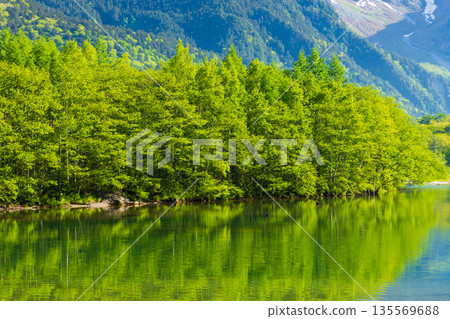 日本最好的山區度假勝地之一，上高地的清新綠意，大正池 135569688