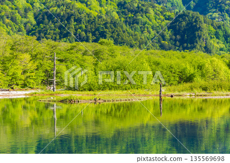 One of Japan's leading mountain resorts: Kamikochi's fresh greenery and Taisho Pond 135569698