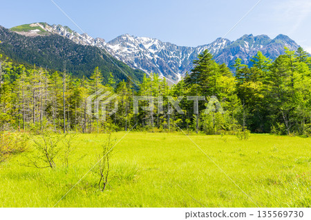 日本最好的山區度假勝地之一，綠樹成蔭的上高地、田代濕地和穗高山脈 135569730