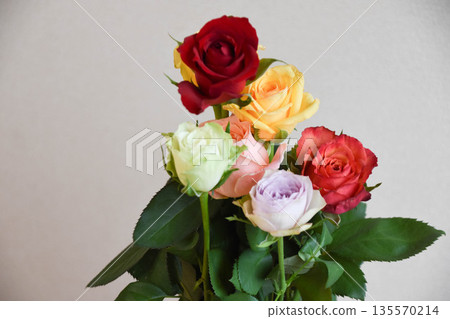 Colorful Roses Colorful Roses 135570214