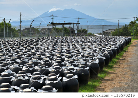 鹿兒島縣：黑醋田和櫻島 135570219