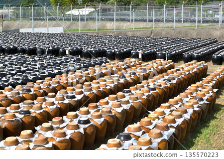 Kagoshima black vinegar pot field 135570223