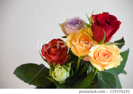Colorful Roses Colorful Roses 135570291