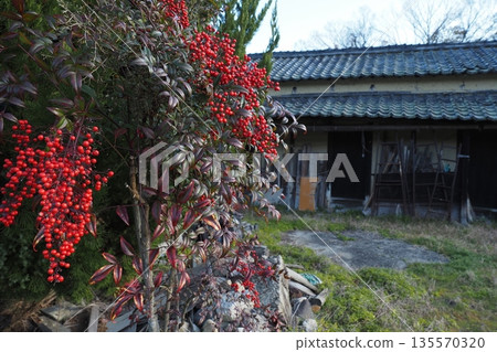 南天竹樹和穀倉 135570320