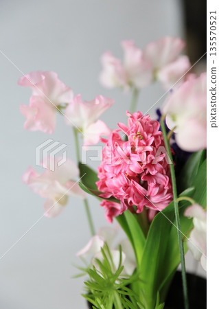 Hyacinths and cut flowers Hyacinths and cut flowers 135570521