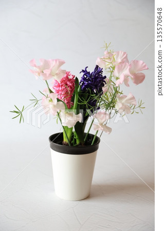 Hyacinths and cut flowers 135570648