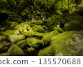 長滿青苔的岩石和一條山澗溪流，溪流中還有一處小瀑布。 135570688