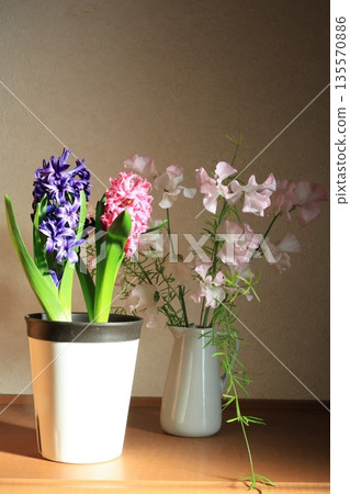 Hyacinths and cut flowers 135570886