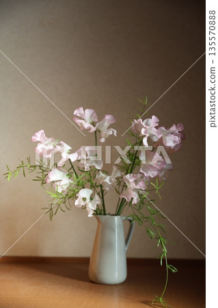粉紅甜豌豆 135570888