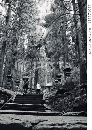 通往神之森林的石階-通往上色見熊之助神社的入口-一個被高大雪松環繞的神秘之地,長滿青苔的石階和石燈籠。 通往神之森林的石階-通往上色見熊之助神社的入口-一個被高大雪松環繞的神秘之地,長滿青苔的石階和石燈籠。 135571053