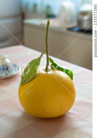 Banpeiyu placed on the table Banpeiyu placed on the table 135571160