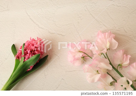 Hyacinth and sweet pea Hyacinth and sweet pea 135571195