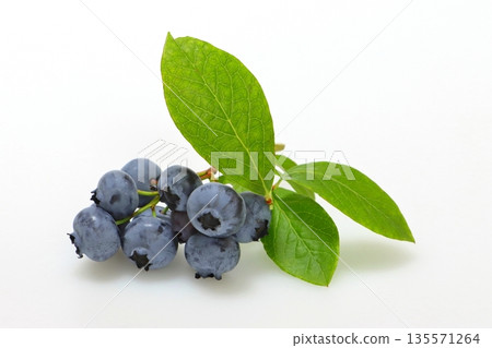 blueberry 135571264