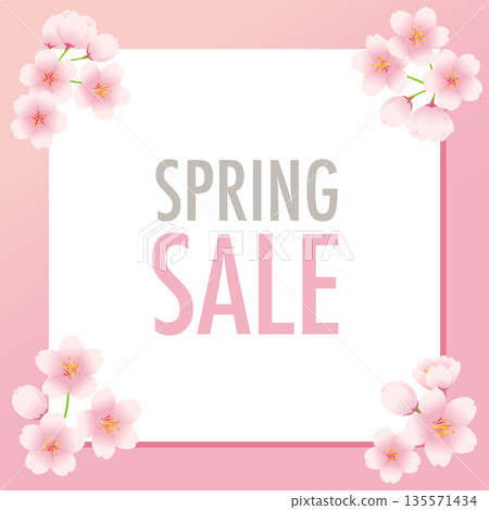 Illustration of a square white board decorated with cherry blossoms and the words "Spring Sale". Illustration of a square white board decorated with cherry blossoms and the words "Spring Sale". 135571434