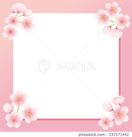 Illustration of a square white board decorated with cherry blossoms. Illustration of a square white board decorated with cherry blossoms. 135571442