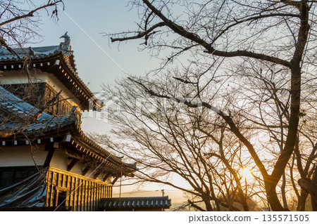 Commercial photography permission obtained: Oitemuki Yagura turret shining in the morning sun 135571505