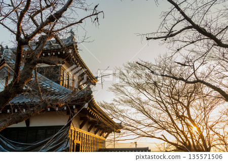 Commercial photography permission obtained: Oitemuki Yagura turret shining in the morning sun 135571506