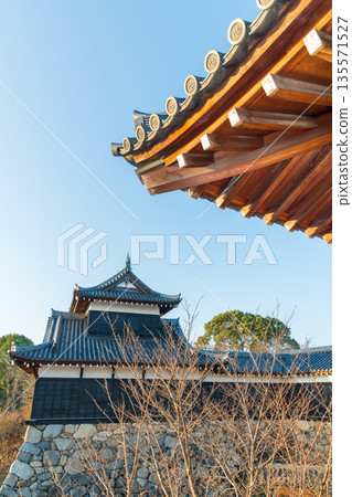 已取得商業攝影許可：從大手捲門石牆上看到的大手捲櫓塔頂和大手捲門 135571527