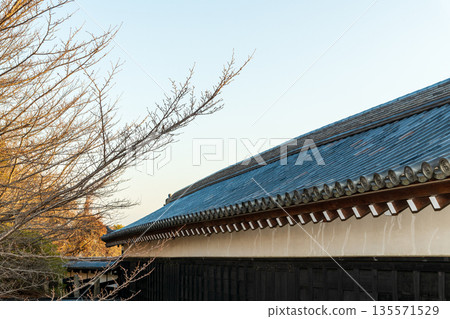 Commercial photography permission obtained: Higashi Tamon Tower in the morning 135571529