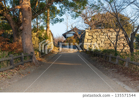 Bamboo Forest Bridge Ruins 135571544