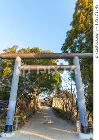 柳澤神社的鳥居和竹林橋遺址 135571545