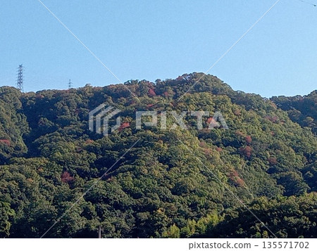 一座變成紅色葉子的山 一座變成紅色葉子的山 135571702