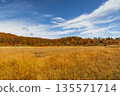 秋田縣岩上濕地紅葉秋景 135571714