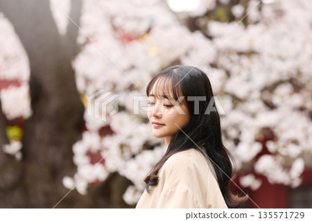 Portrait of a young Asian woman enjoying cherry blossom viewing Portrait of a young Asian woman enjoying cherry blossom viewing 135571729