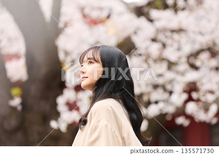 Portrait of a young Asian woman enjoying cherry blossom viewing 135571730