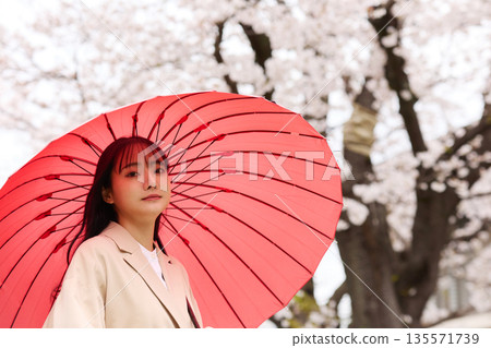 一位年輕的亞洲女性正在欣賞櫻花。 一位年輕的亞洲女性正在欣賞櫻花。 135571739