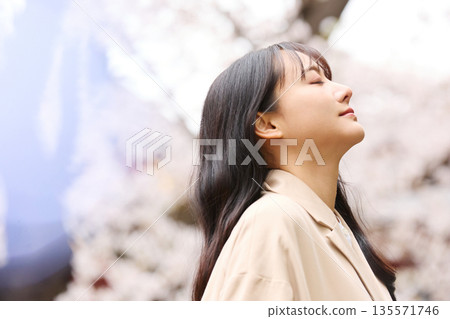 一位年輕的亞洲女性正在欣賞櫻花。 一位年輕的亞洲女性正在欣賞櫻花。 135571746