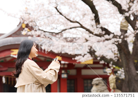 Portrait of a young Asian woman enjoying cherry blossom viewing 135571751