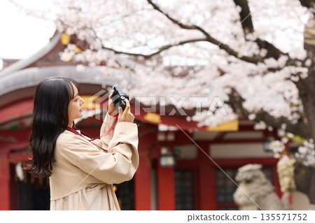 一位年輕的亞洲女性正在欣賞櫻花。 135571752