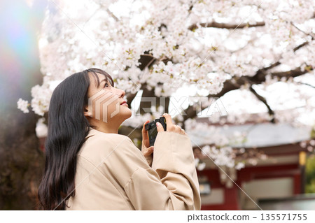 Portrait of a young Asian woman enjoying cherry blossom viewing 135571755