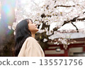 一位年輕的亞洲女性正在欣賞櫻花。 135571756