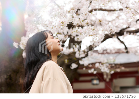 Portrait of a young Asian woman enjoying cherry blossom viewing 135571756