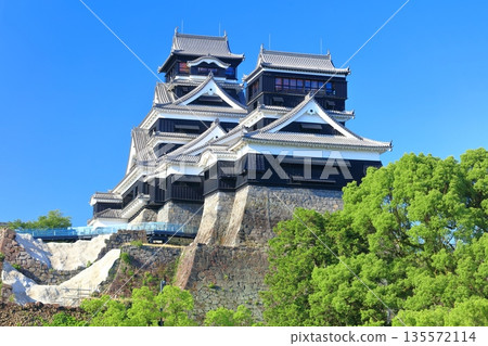 [熊本縣] 熊本城的晴空（大天守閣和小天守閣） 135572114