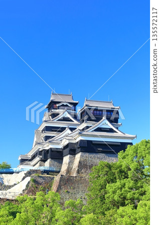 [Kumamoto Prefecture] Kumamoto Castle (main and small towers) on a clear day 135572117