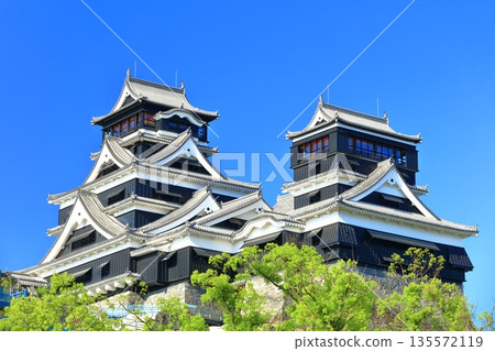 [熊本縣] 熊本城的晴空（大天守閣和小天守閣） 135572119