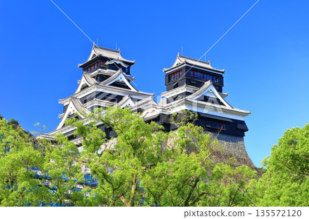 [Kumamoto Prefecture] Kumamoto Castle (main and small towers) on a clear day 135572120