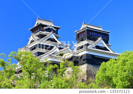 [Kumamoto Prefecture] Kumamoto Castle (main and small towers) on a clear day 135572121
