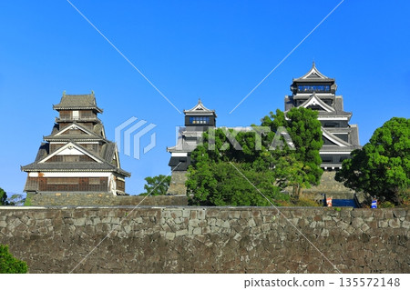 [Kumamoto Prefecture] The main and small castle towers and Uto yagura turrets of Kumamoto Castle on a clear day 135572148