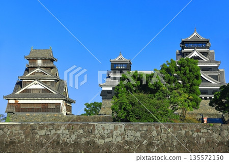 [熊本縣]晴天時的熊本城大大小小的天守閣和宇土砲台 135572150