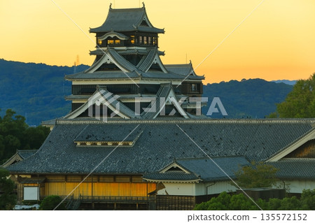 [熊本縣]熊本城的夜景 135572152