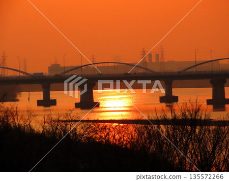 漸層：傍晚景色：黃沙：金色的日落：淀川枚方橋，大阪府 135572266