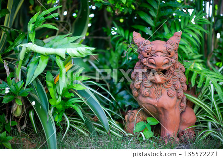 沖繩的Shisa 135572271