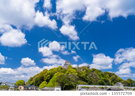 佐賀縣：春意盎然的唐津城 135572709