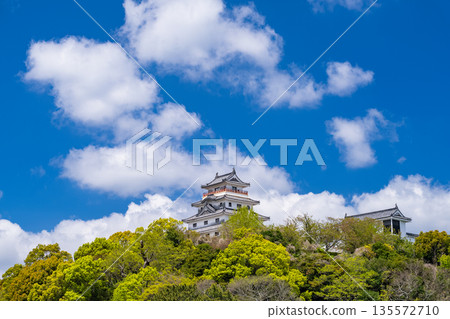 Saga Prefecture: Karatsu Castle in the Spring Green Season Saga Prefecture: Karatsu Castle in the Spring Green Season 135572710