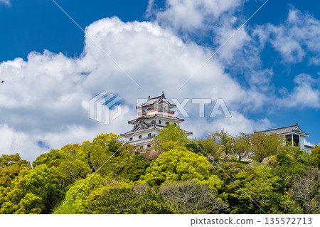 Saga Prefecture: Karatsu Castle in the Spring Green Season 135572713